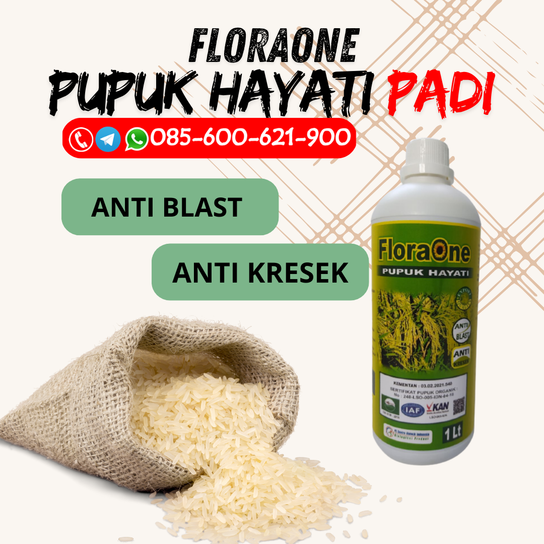 DISKON!!!085-600-621-938, HARGA pupuk organik padi sawah Blora, AGEN rekomendasi pupuk padi Brebes, PRODUSEN pupuk agar padi tidak roboh Pati