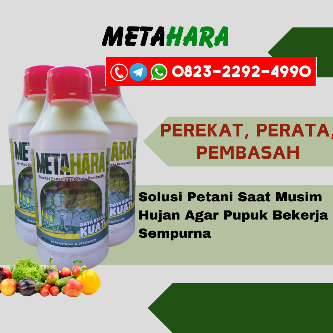 TERBUKTI!!!0823-2292-4990, PRODUSEN pupuk perekat buah cabe Lampung Barat, PABRIK pupuk perekat bunga Cianjur, SUPPLIER pupuk perekat buah alpukat Sukabumi