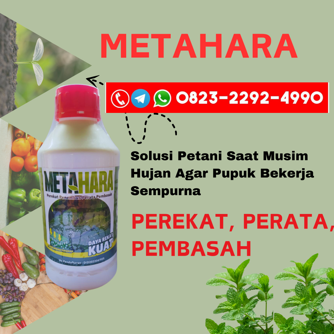 TERLARIS!!!0823-2292-4990, SUPPLIER pupuk perekat buah alpukat Sukabumi, DISTRIBUTOR pupuk perekat buah kopi Wonosobo, TOKO perekat pupuk daun alami Banyumas