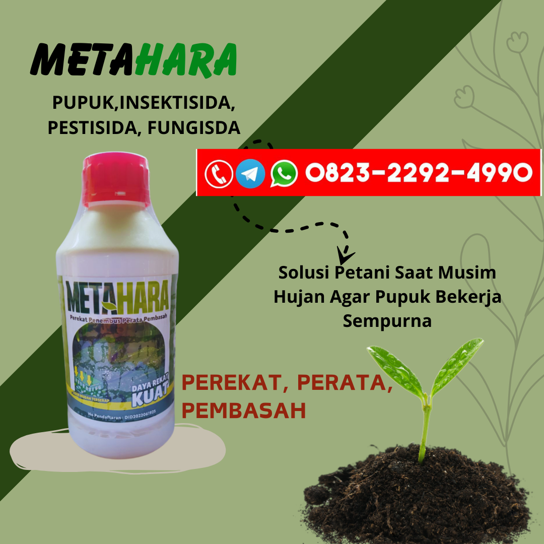 TERBATAS!!!0823-2292-4990, DISTRIBUTOR pupuk perekat buah kopi Wonosobo, TOKO perekat pupuk daun alami Banyumas, PUSAT perekat pupuk terbaik Malang