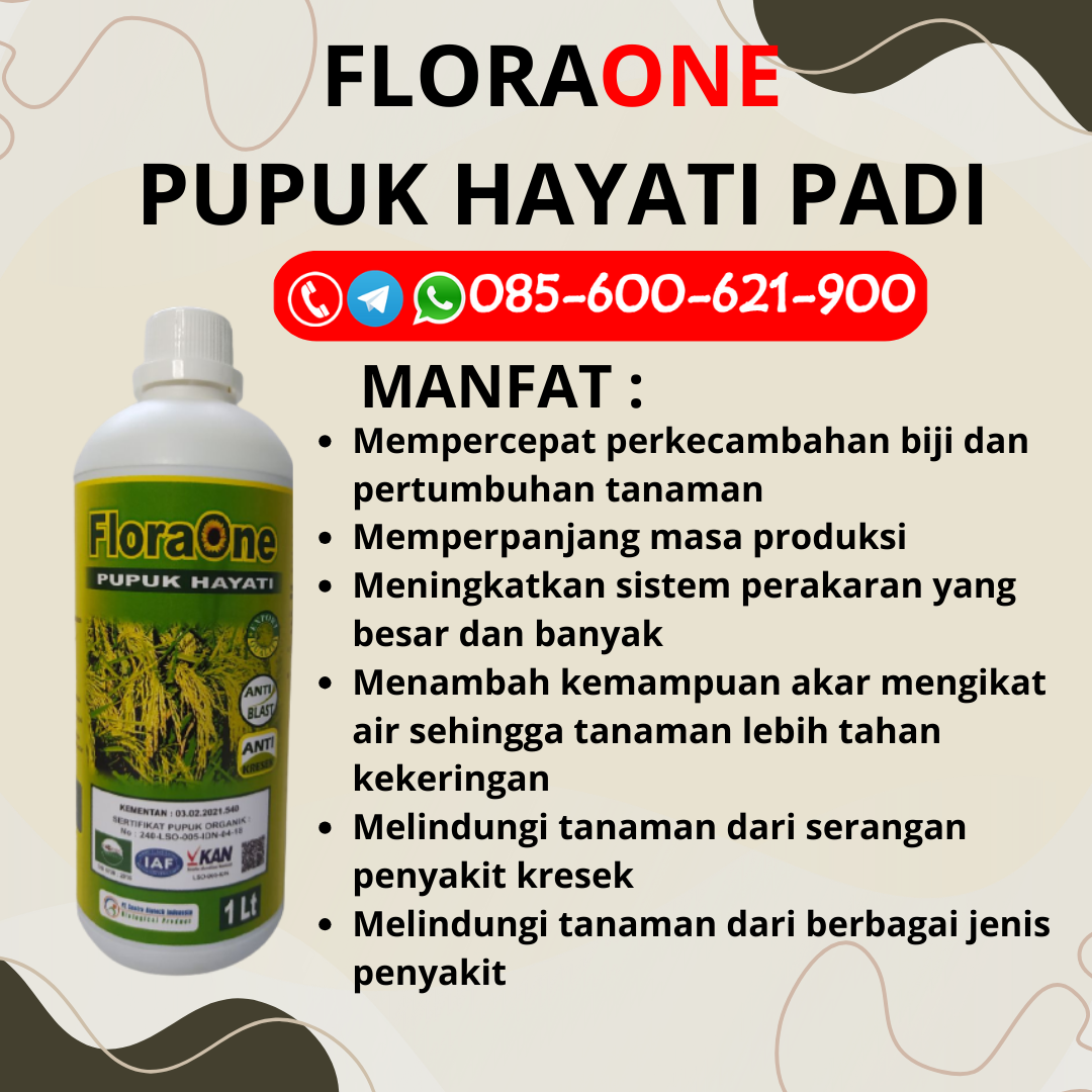 DISKON!!!085-600-621-912, SUPPLIER pupuk cair padi terbaik Demak, DISTRIBUTOR pupuk cair padi yang bagus Karanganyar, TOKO pupuk cair padi super Sukoharjo