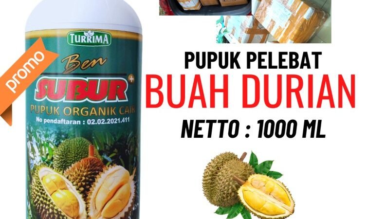 TERBUKTI!!! TELP! 0823-2292-4990, AGEN pupuk durian agar cepat berbunga Probolinggo, DISTRIBUTOR pupuk durian baru tanam Malang, PRODUSEN pupuk durian masa vegetatif Jember