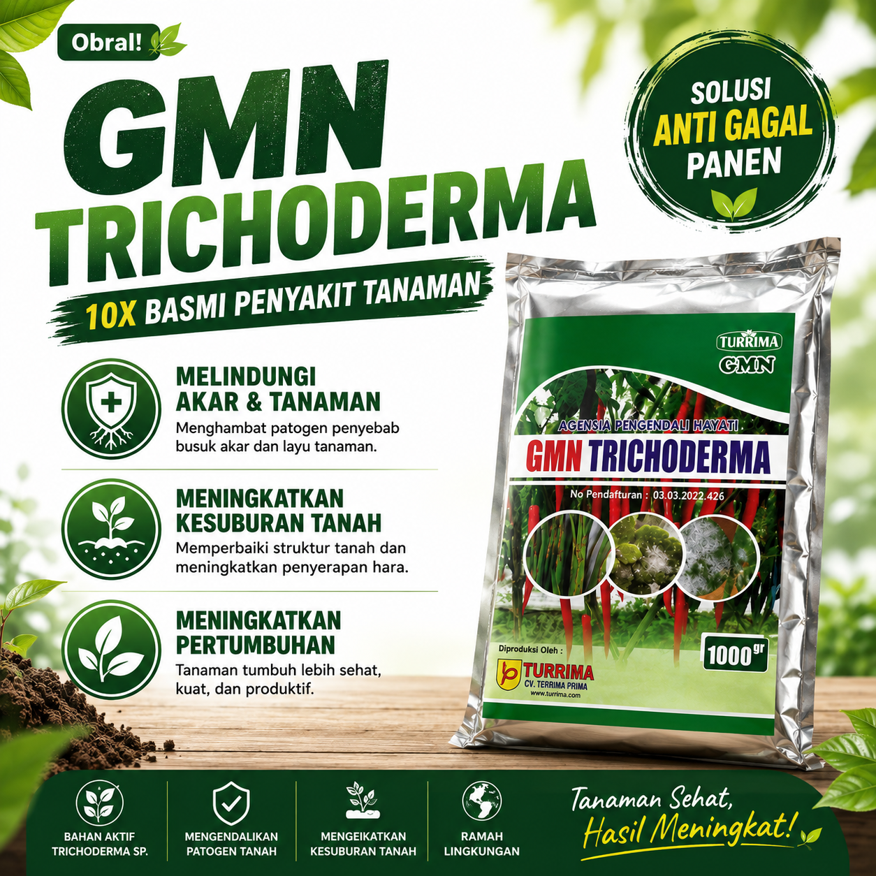 Pupuk Tricoderma untuk mengatasi busuk akar dan buah
