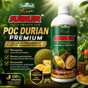 Pupuk Buah Durian Agar Berbuah Lebat, BEN SUBUR DURIAN PREMIUM CAIR MONTONG