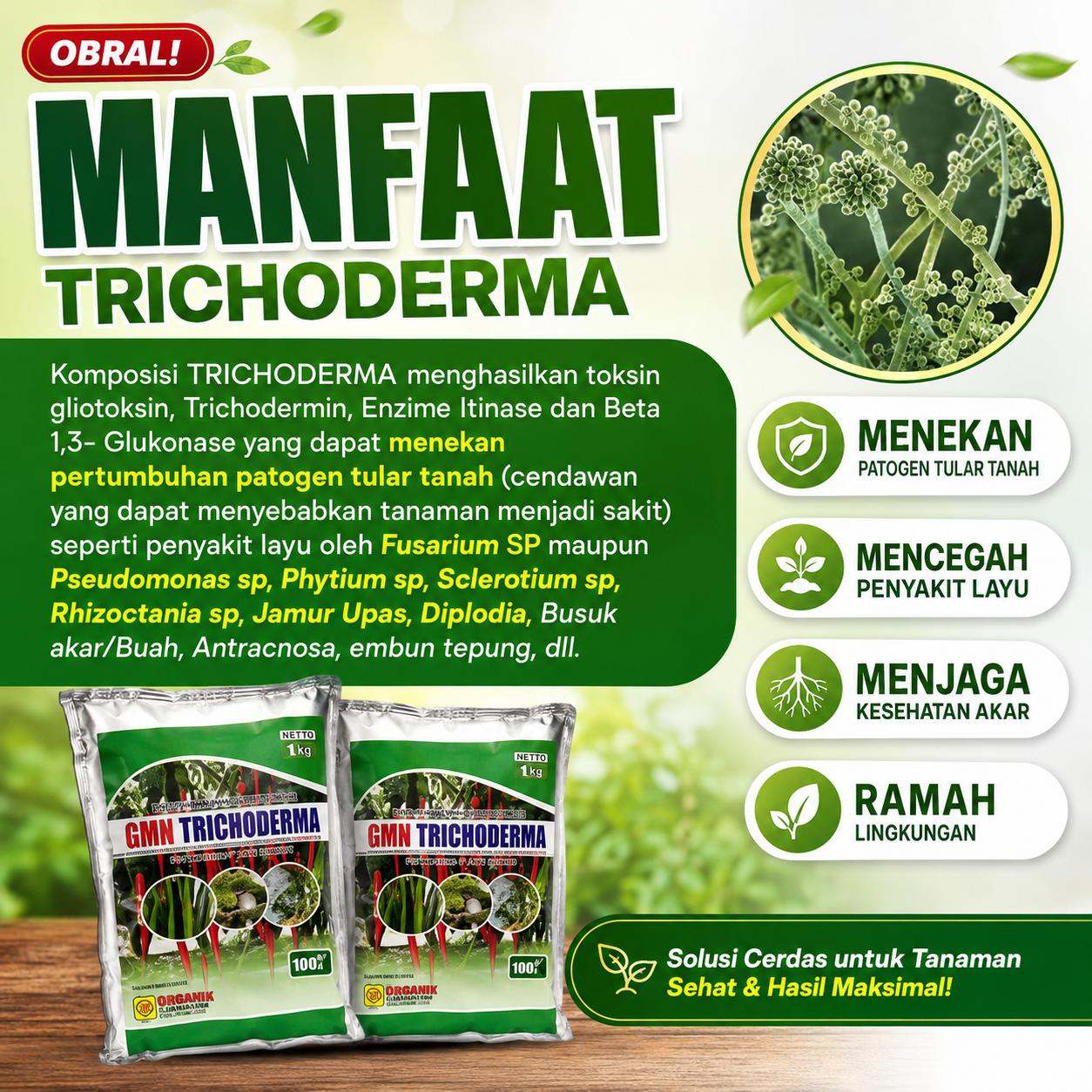 Pupuk Tricoderma untuk mengatasi busuk akar dan buah - Gambar 2