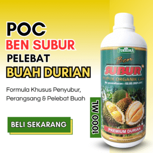 Pupuk Buah Durian Agar Berbuah Lebat, BEN SUBUR DURIAN PREMIUM CAIR MONTONG