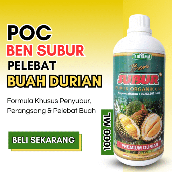Pupuk Buah Durian Agar Berbuah Lebat, BEN SUBUR DURIAN PREMIUM CAIR MONTONG