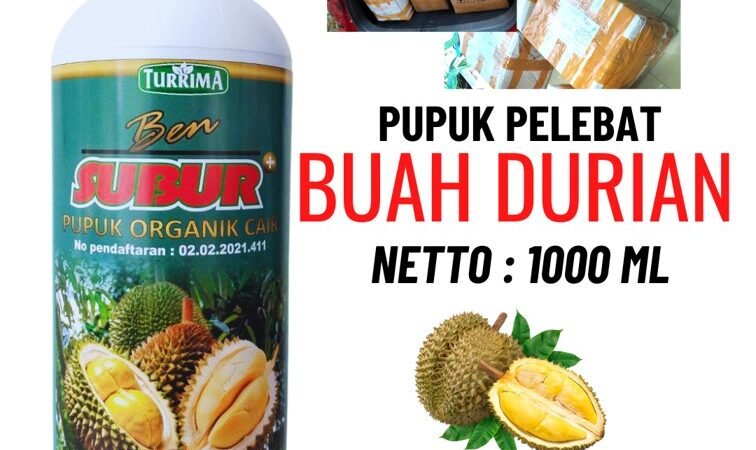TERPERCAYA!!! TELP! 0823-2292-4990, JUAL pupuk durian agar berbuah lebat Ngawi, AGEN pupuk durian agar berbuah Pacitan, DISTRIBUTOR pupuk durian agar cepat besar Pasuruan