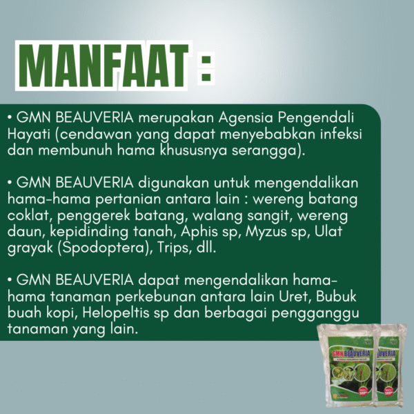Agensi Beauveria bassiana untuk hama, Obat pembasmi hama wereng, ulat dll - Gambar 2