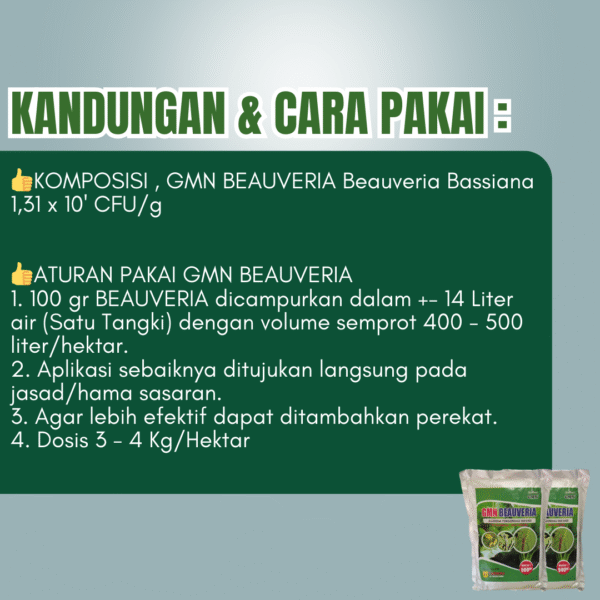Agensi Beauveria bassiana untuk hama, Obat pembasmi hama wereng, ulat dll - Gambar 3
