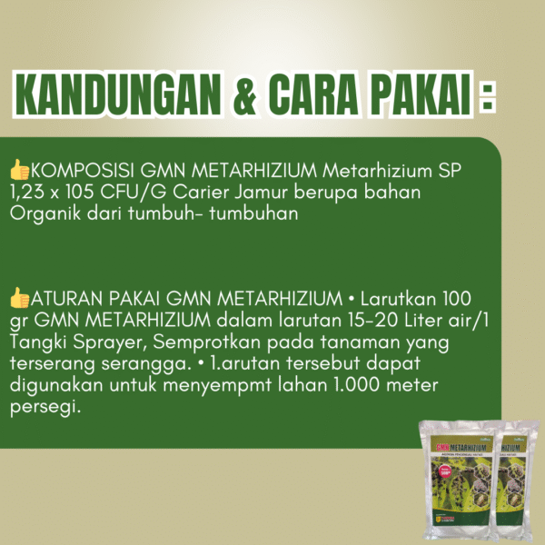 Agensia Pengendali hayati Metarizium Pembasmi Serangga Paling Aman - Gambar 3