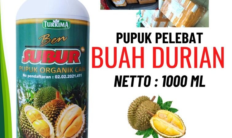 SEDANG DISKON!!! TELP! 0823-2292-4990, PRODUSEN pupuk durian masa vegetatif Jember, TOKO pupuk durian cepat berbuah Jombang, SUPPLIER pupuk durian umur 1 tahun Ponorogo