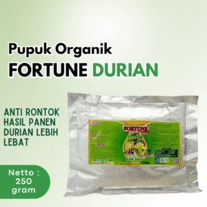 Pupuk Durian Cepat Berbuah, Pupuk FORTUNE Booster Bibit Buah Durian Musang King