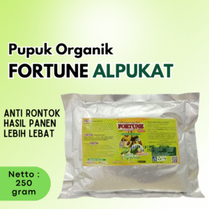 Pupuk perangsang buah alpukat supaya cepat berbuah, Booster Alpukat pelebat buah