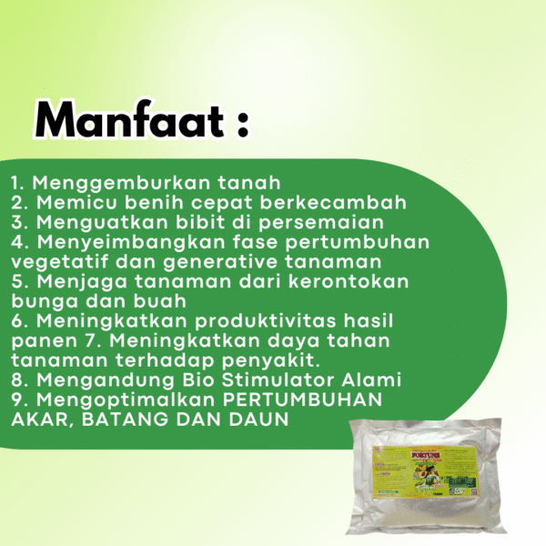 Pupuk perangsang buah alpukat supaya cepat berbuah, Booster Alpukat pelebat buah - Gambar 2