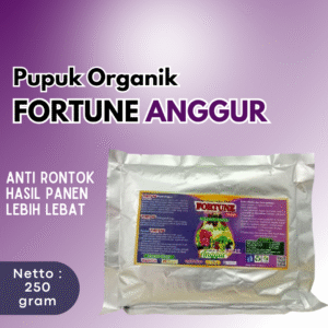 Pupuk Booster Anggur Cepat Berbuah, Pupuk Pelebat Buah Tanaman Anggur