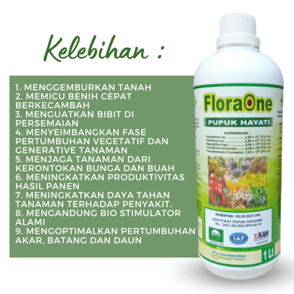 Floraone Pupuk Hayati, Pupuk PGPR Rhizobium, Pupuk Cair Trichoderma - Gambar 2