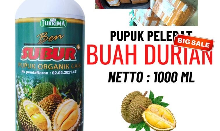 ORGANIK!!! TELP! 0823-2292-4990, TOKO pupuk durian cepat berbuah Jombang, SUPPLIER pupuk durian umur 1 tahun Ponorogo, PENYEDIA pupuk durian yang bagus Blitar