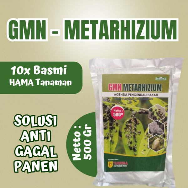 Agensia Pengendali hayati Metarizium Pembasmi Serangga Paling Aman