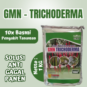 Pupuk Tricoderma untuk mengatasi busuk akar dan buah