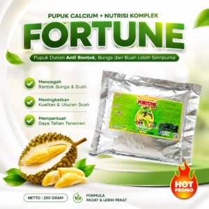 Pupuk Durian Cepat Berbuah, Pupuk FORTUNE Booster Bibit Buah Durian Musang King