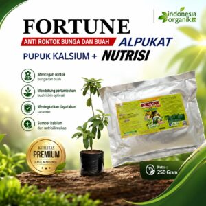 Pupuk perangsang buah alpukat supaya cepat berbuah, Booster Alpukat pelebat buah