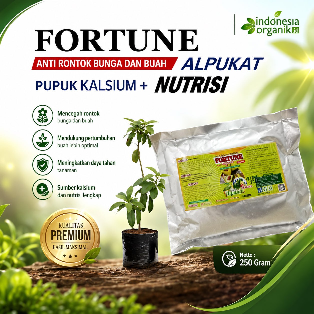 Pupuk perangsang buah alpukat supaya cepat berbuah, Booster Alpukat pelebat buah