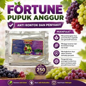 Pupuk Booster Anggur Cepat Berbuah, Pupuk Pelebat Buah Tanaman Anggur