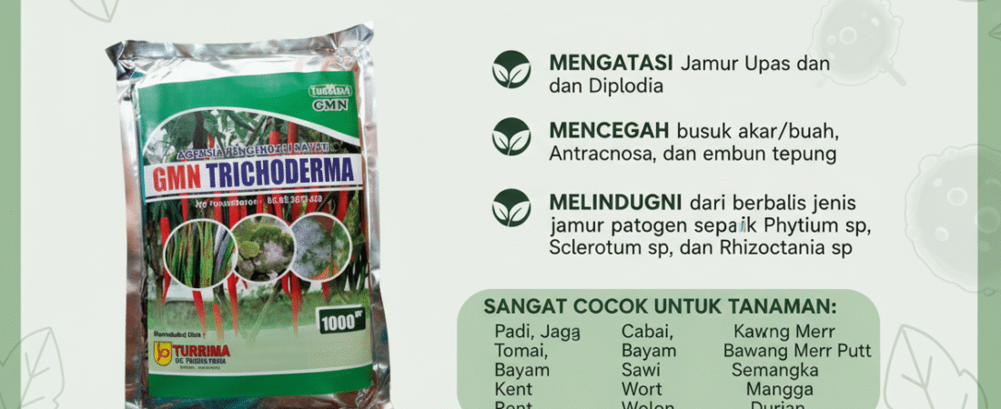 ALAMI.085-600-621-900, Pusat tricoderma untuk sawit Humbang Hasundutan, Jual tricoderma untuk hidroponik Labuhanbatu