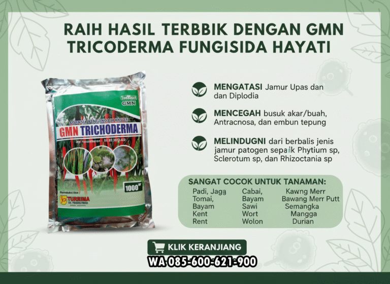 TERBUKTI.085-600-621-900, Distributor tricoderma untuk pisang Mandailing Natal, Agen tricoderma untuk tomat Tapanuli Tengah,