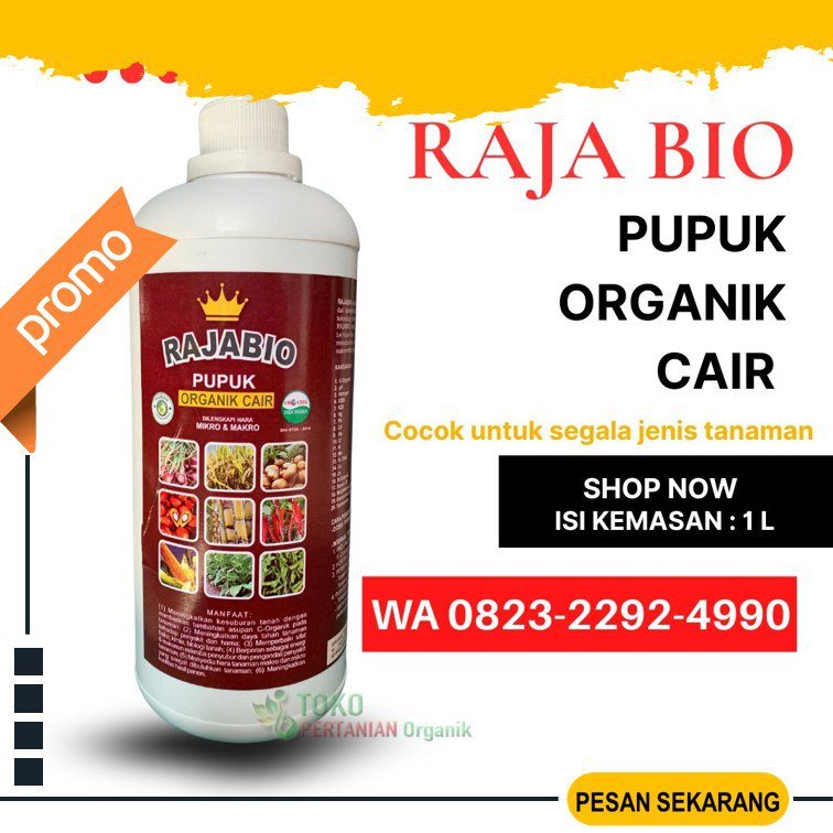 SEDANG PROMO!!! TELP! 0823-2292-4990, AGEN Pupuk booster tembakau Kota Mataram, DISTRIBUTOR Pupuk buat tembakau Kota Bima, PRODUSEN Pupuk tembakau baru tanam Bima