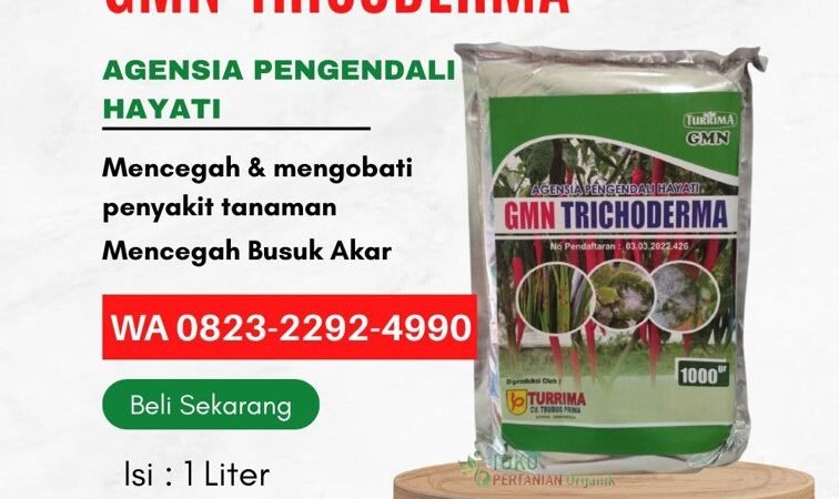PROMO AMBYAR!!! TELP! 0823-2292-4990, JUAL Pupuk trichoderma bubuk Nganjuk, AGEN Pupuk tricoderma Surabaya, DISTRIBUTOR Pupuk busuk akar fungisida Ngawi