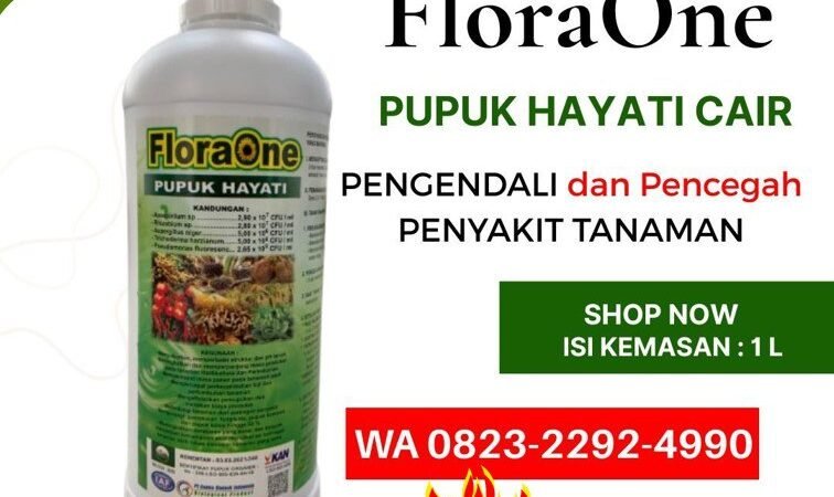 ALAMI!!! TELP! 0823-2292-4990, PRODUSEN Pupuk untuk kakao yang bagus Majene, TOKO Pupuk untuk kakao PasangKayu, SUPPLIER Pupuk untuk kakao umur 3 bulan Mamasa