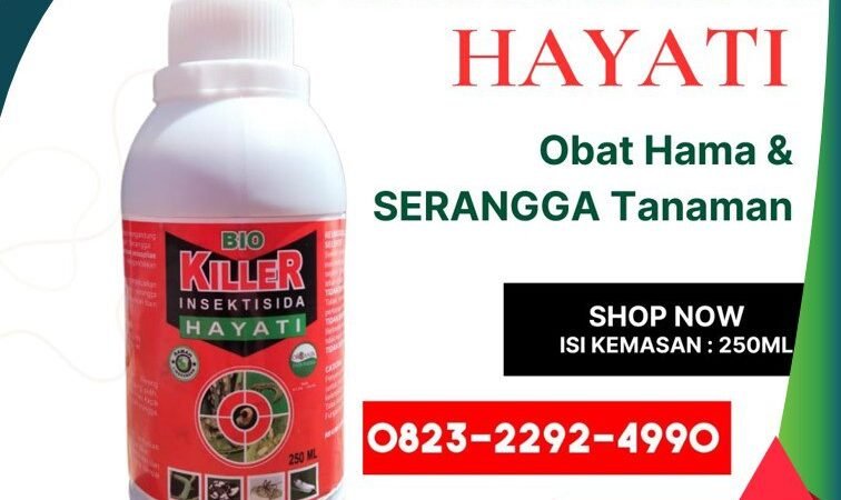 TERBATAS.0823-2292-4990, Agen insektisida hayati untuk bawang merah Bener Meriah, Distributor insektisida hayati untuk hama ulat Bireuen