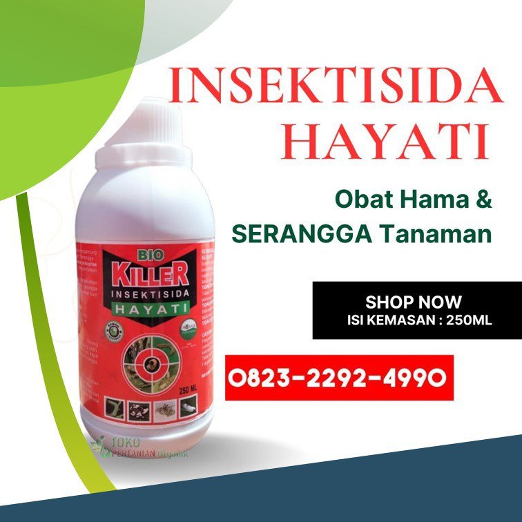 TERLARIS.0823-2292-4990, Agen insektisida hayati untuk tanaman hias Simeulue, Distributor insektisida hayati Bio Killer Aceh Tamiang