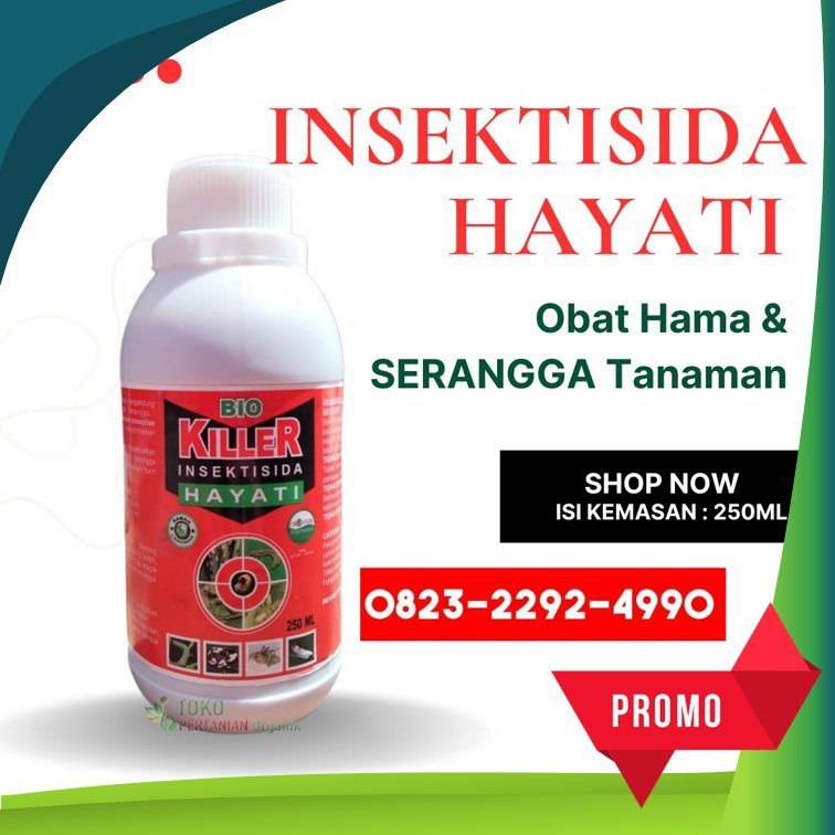 TERBATAS.0823-2292-4990, Agen insektisida hayati untuk bawang merah Bener Meriah, Distributor insektisida hayati untuk hama ulat Bireuen