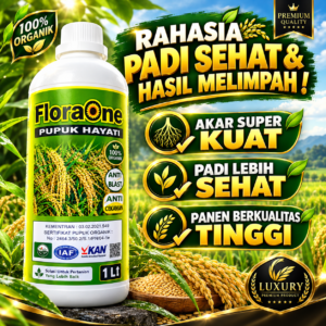 FLORAONE Fungisida HAYATI padi, Pupuk Hayati Padi Berkualitas