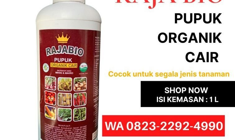 SEDANG DISKON!!! TELP! 0823-2292-4990, DISTRIBUTOR Pupuk buat tembakau Kota Bima, PRODUSEN Pupuk tembakau baru tanam Bima, TOKO Pupuk tembakau cair Dompu