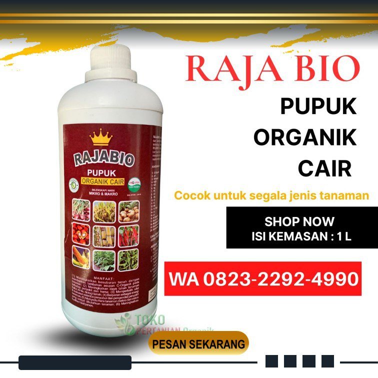 SEDANG DISKON!!! TELP! 0823-2292-4990, DISTRIBUTOR Pupuk buat tembakau Kota Bima, PRODUSEN Pupuk tembakau baru tanam Bima, TOKO Pupuk tembakau cair Dompu