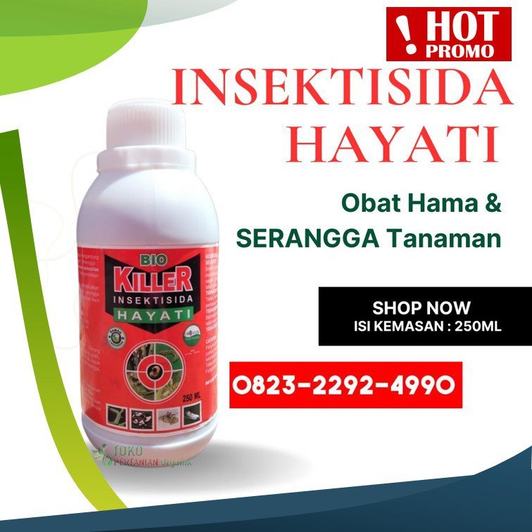 PROMO.0823-2292-4990, Distributor insektisida hayati untuk hama ulat Bireuen, Pabrik insektisida hayati untuk hama tanah Gayo Lues,