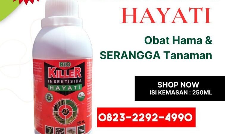 TERBARU.0823-2292-4990, Harga insektisida hayati untuk cabe Aceh Utara, Agen insektisida hayati untuk bawang merah Bener Meriah,
