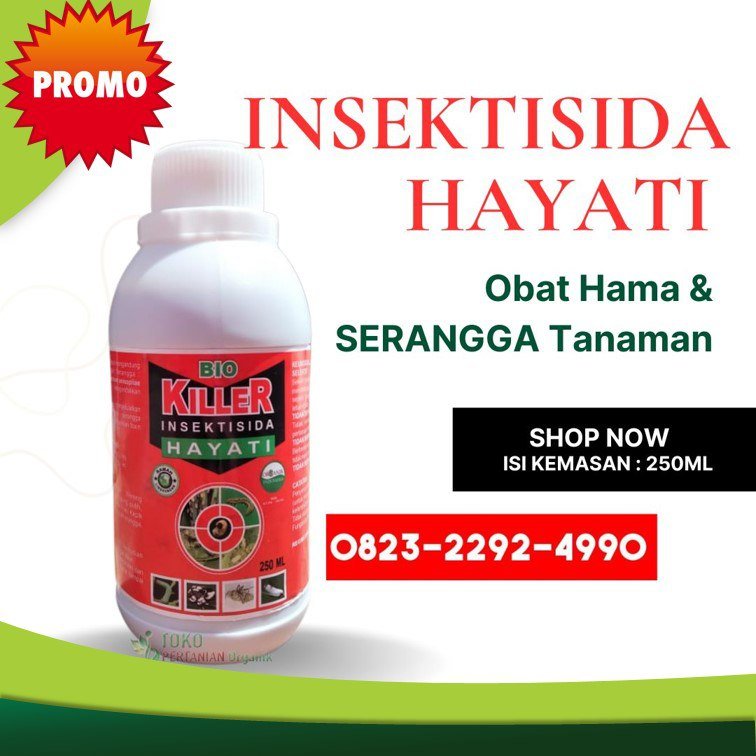 TERBARU.0823-2292-4990, Harga insektisida hayati untuk cabe Aceh Utara, Agen insektisida hayati untuk bawang merah Bener Meriah,