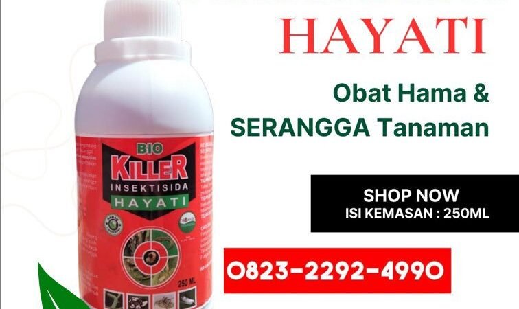 PROMO.0823-2292-4990, Jual insektisida hayati untuk padi Aceh Barat, Harga insektisida hayati untuk cabe Aceh Utara,