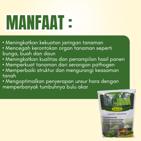 Pupuk kalsium untuk cabe Metahara 1 Kg, Cals Ha plus asam humat untuk meningkatkan hasil panen padi - Gambar 2