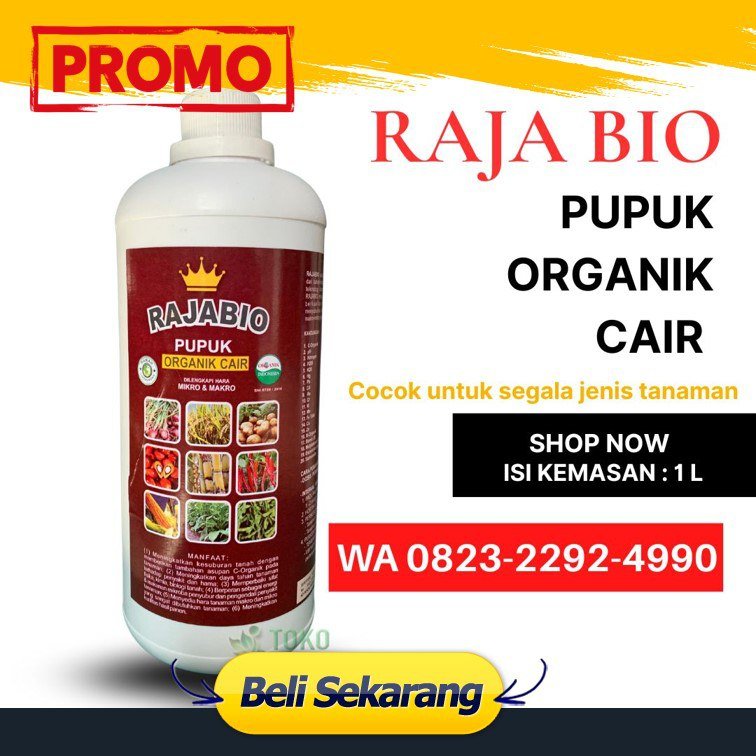 PROMO AMBYAR!!! TELP! 0823-2292-4990, PABRIK Pupuk bibit tembakau Sumbawa, JUAL Pupuk buat tembakau yang bagus Sumbawa Barat, AGEN Pupuk booster tembakau Kota Mataram