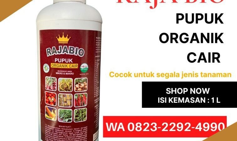 ASLI!!! TELP! 0823-2292-4990, PENYEDIA Pupuk untuk akar tembakau Lombok Utara, PABRIK Pupuk bibit tembakau Sumbawa, JUAL Pupuk buat tembakau yang bagus Sumbawa Barat