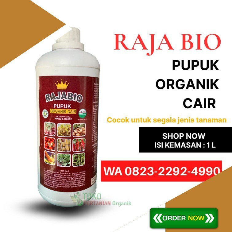 ASLI!!! TELP! 0823-2292-4990, PENYEDIA Pupuk untuk akar tembakau Lombok Utara, PABRIK Pupuk bibit tembakau Sumbawa, JUAL Pupuk buat tembakau yang bagus Sumbawa Barat