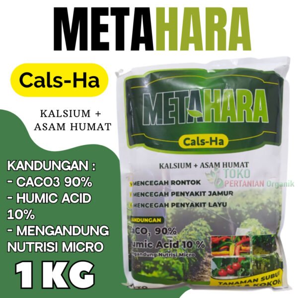 Pupuk kalsium untuk cabe Metahara 1 Kg, Cals Ha plus asam humat untuk meningkatkan hasil panen padi