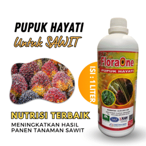 Booster SAWIT Penyubur Pohon, PUPUK HAYATI CAIR Agar Cepat Tumbuh Besar Lebat