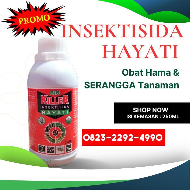 TERBARU.0823-2292-4990, Pusat insektisida hayati untuk hama padi Nagan Raya, Jual insektisida hayati untuk ulat Pidie,